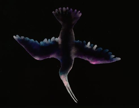 Marianna Simnett, 'Wing-sleepers (Sandpiper)', 2018
Digital Pigment print onto Somerset Photosatin 300gsm,
Size: 21.2 x 27.3 cm,
Edition of 30 signed and numbered. Launch Price: £95
