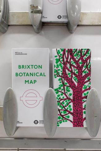Brixton Botanical Map, 2021. Photo: Benedict Johnson, 2021